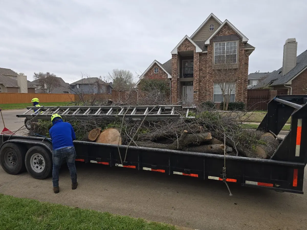 Expert Tree Pest Control with proper safety equipment in Ferrysburg